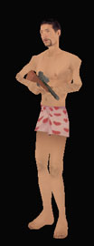 Skin #252 - wmyva2